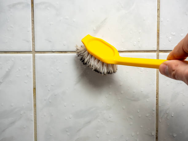 Best Attic Mold Removal  in Burley, WA