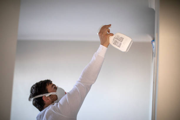 Best Affordable Mold Removal  in Burley, WA