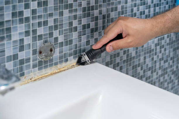 Best Certified Mold Removal  in Burley, WA